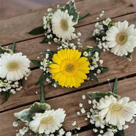 fwthumbGerbera Buttonholes.jpg